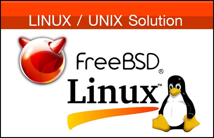 Linux / Unix Solution